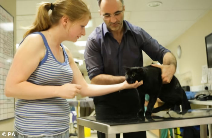 Noel Fitzpatrick, neuro-orthopaedic surgeon, and kennel assistant Jane Kilner, with Oscar the cat